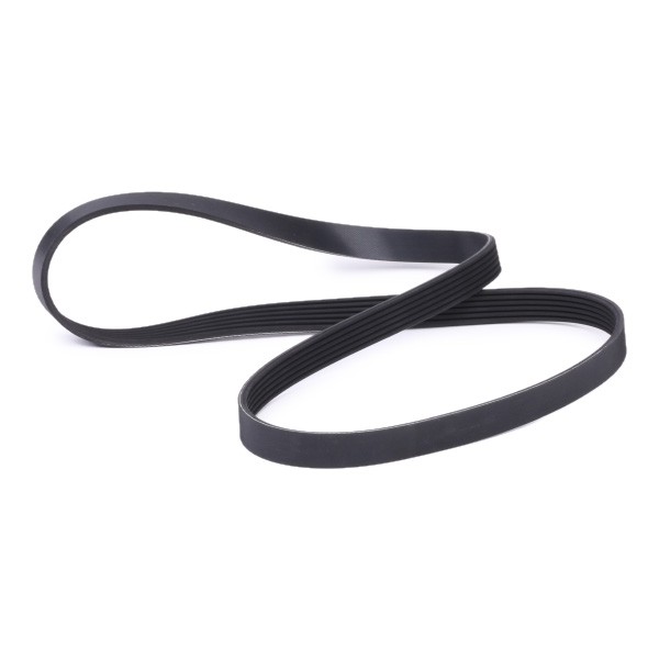 V-ribbed belt  NBH25060547